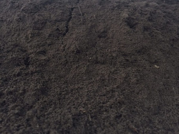 Grond