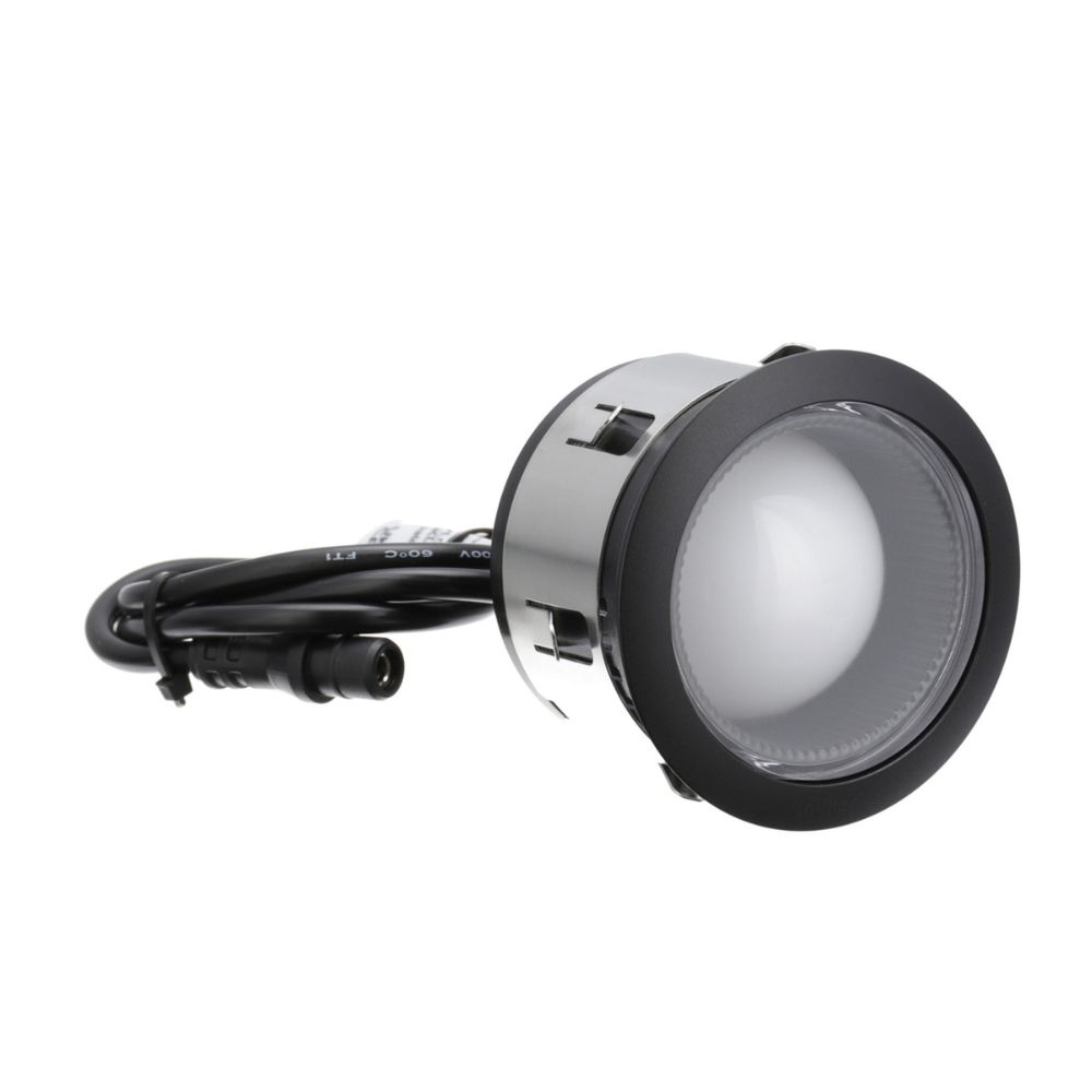 In-lite Dot